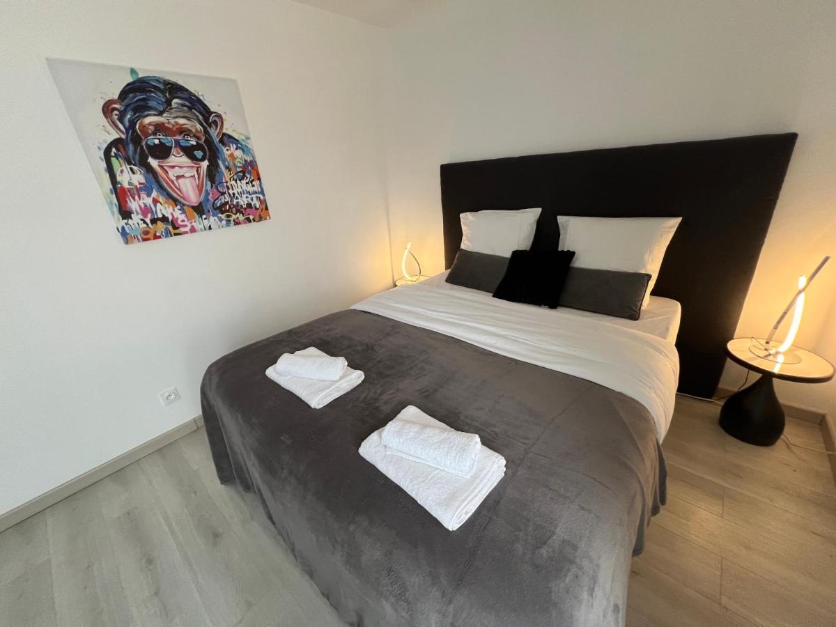 Le Cannois, Appartement De Star 3 Chambres Mulhouse Exterior photo